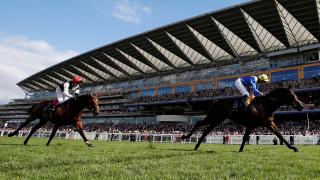 Two horses in front of grandstand